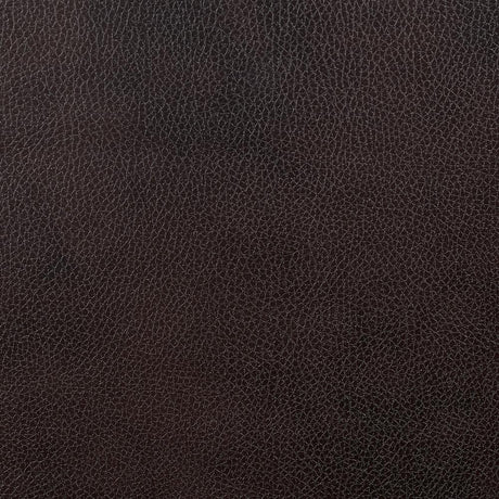  Furniture of America Pondera Leather Look Recliner CM6568-CH IMAGE 3