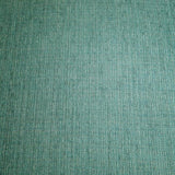  Furniture of America Agalva Stationary Fabric Accent Chair CM-AC6113BL IMAGE 4