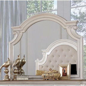  Furniture of America Pembroke Dresser Mirror CM7561M IMAGE 1