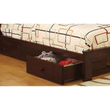 Furniture of America Kids Bed Components Underbed Storage Drawer CM-DR452-EXP IMAGE 1