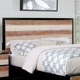  Furniture of America Haddel Queen Panel Bed CM7592EX-Q-BED IMAGE 2