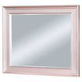 Furniture of America Avior Dresser Mirror CM7170RG-M IMAGE 1