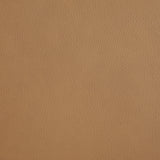 Armstrong Power Recliner