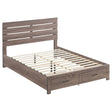  Coaster Furniture Brantford 207040Q Wood Queen Storage Panel Bed - Barrel Oak IMAGE 1