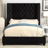  Furniture of America Mirabelle Queen Upholstered Panel Bed CM7679BK-Q-VN IMAGE 1