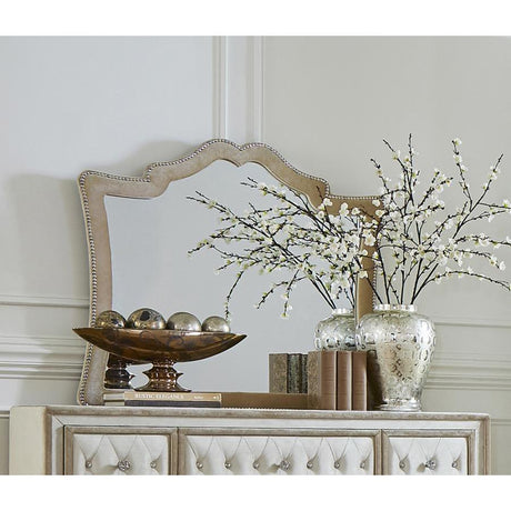  Coaster Furniture Antonella 223524 Upholstered Dresser Mirror - Camel IMAGE 1