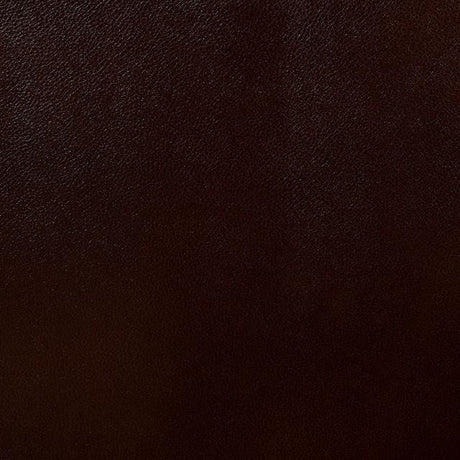  Furniture of America Jeanna CM6343-LV Love Seat IMAGE 4