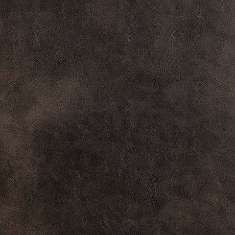  Furniture of America Bemus Stationary Loveseat CM6731DB-LV IMAGE 6
