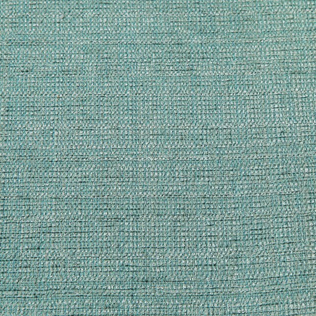  Furniture of America Sofia Stationary Fabric Loveseat CM6761BL-LV-PK IMAGE 2