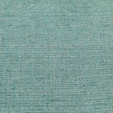  Furniture of America Sofia Stationary Fabric Loveseat CM6761BL-LV-PK IMAGE 2