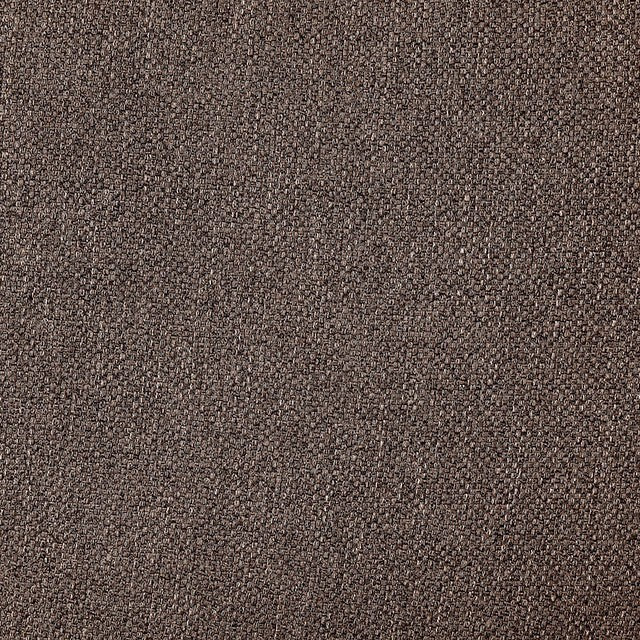  Furniture of America Maxime Stationary Fabric Chair CM6971BR-CH IMAGE 5