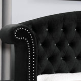  Furniture of America Zohar CM7130BK-EK-BED E.King Bed IMAGE 3