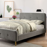  Furniture of America Barney Queen Bed CM7272GY-Q-BED-VN IMAGE 1