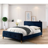  Furniture of America Barney Queen Bed CM7272NV-Q-BED-VN IMAGE 2