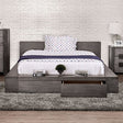  Furniture of America Janeiro Queen Bed CM7629GY-Q-BED IMAGE 1