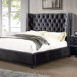  Furniture of America Cayla King Bed CM7779BK-EK-BED-VN IMAGE 1