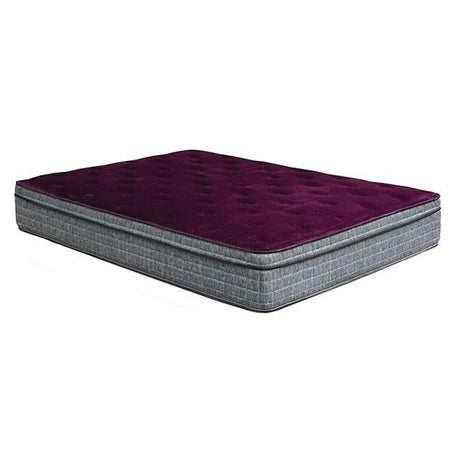  Furniture of America Minnetonka DM317F-M Queen IMAGE 2
