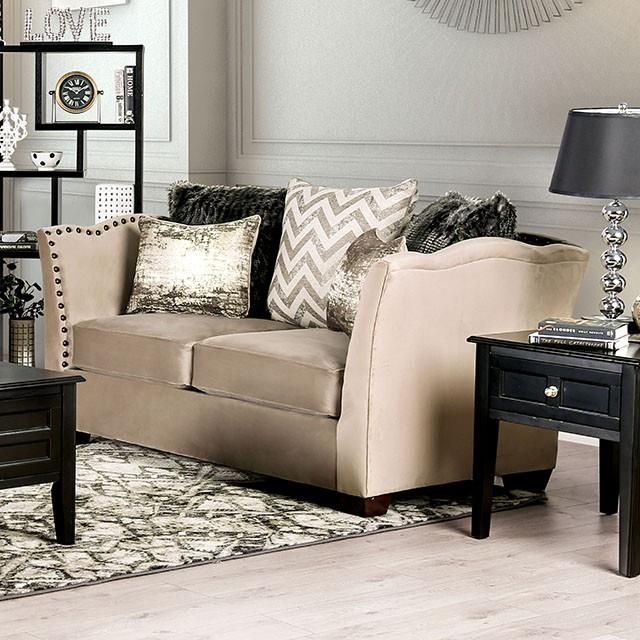  Furniture of America Hampden SM2273-LV Love Seat IMAGE 1