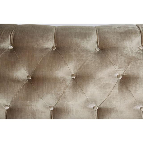  Furniture of America Elicia SM2685-LV Love Seat IMAGE 9