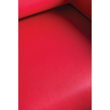 Furniture of America Tekir SM6033-LV Love Seat IMAGE 2