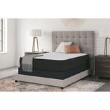  Sierra Sleep Limited Edition Firm M41071 Twin XL Mattress IMAGE 3