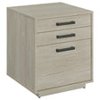  Coaster Furniture Loomis 805882 3-Drawer Home Office File Cabinet - Whitewashed Grey IMAGE 1