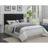  Steve Silver Furniture Kassel KAS800QHB Queen Headboard IMAGE 7