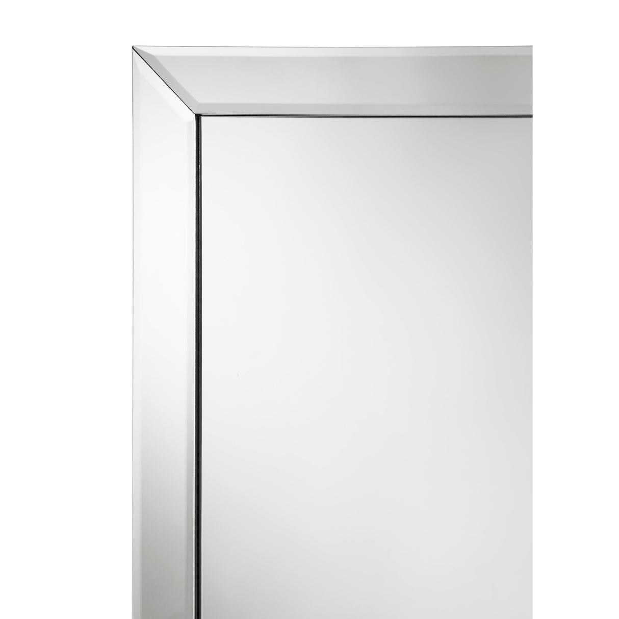  Coaster Furniture Soline 961633 22 x 61 Inch Framed Standing Floor Mirror - Silver IMAGE 5
