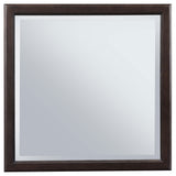  Coaster Furniture Emberlyn 223064 Dresser Mirror - Brown IMAGE 3