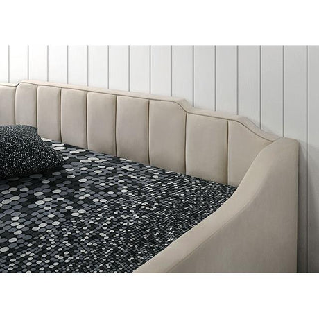  Furniture of America Kosmo CM1931BG Daybed IMAGE 3