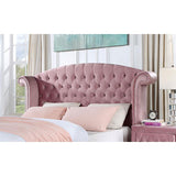  Furniture of America Zohar CM7130PK-Q Queen Bed IMAGE 3