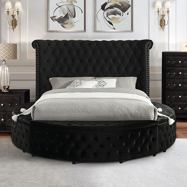  Furniture of America Delilah CM7177BK-Q Queen Bed IMAGE 1