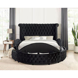  Furniture of America Delilah CM7177BK-Q Queen Bed IMAGE 4