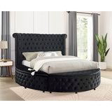  Furniture of America Delilah CM7177BK-Q Queen Bed IMAGE 5