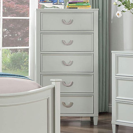  Furniture of America Lycorida CM7477GY-C Chest IMAGE 1