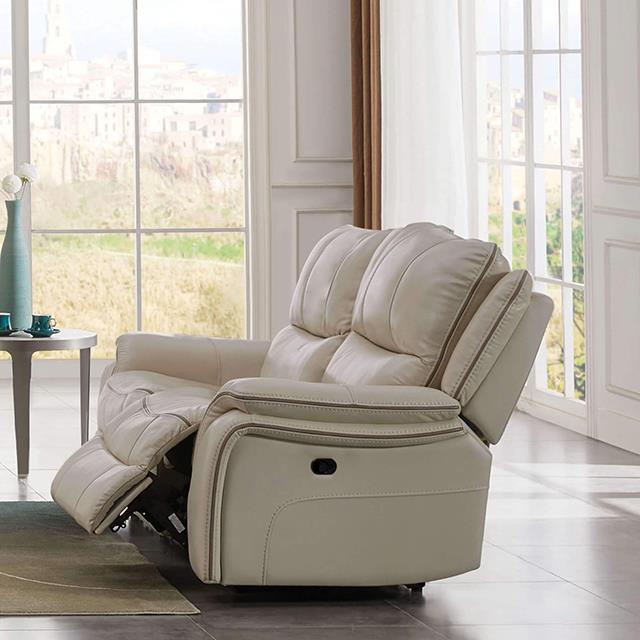  Furniture of America Henricus CM9911BG-LV Loveseat IMAGE 1