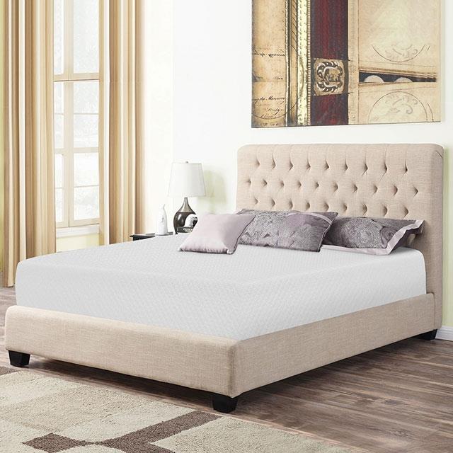 Furniture of America Coreopsis DM520-Q 8" Queen Memory Foam Mattress IMAGE 10