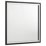  Coaster Furniture Lucia 224994 Dresser Mirror - Black IMAGE 1