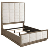  Coaster Furniture Coaster Furniture Durango 223271Q 80-inch Queen Panel Bed - Taupe Oak IMAGE 1