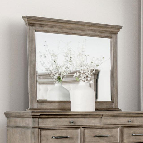  Furniture of America Philomath FM7430BR-M Mirror IMAGE 1