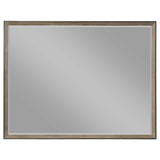  Coaster Furniture Durango 223274 Dresser Mirror - Taupe Oak IMAGE 2