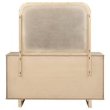  Coaster Furniture Kailani 225043M 9-Drawer Dresser and Mirror - Beige Oak IMAGE 6