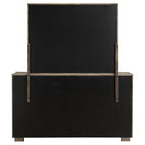 Coaster Furniture Durango 223273M 8-Drawer Dresser and Mirror - Taupe Oak IMAGE 6