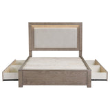  Coaster Furniture Kenora 224850KE 56-inch Eastern King LED Storage Bed - Barley Brown IMAGE 6