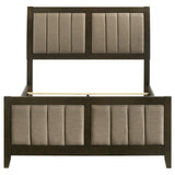 Coaster Furniture Wilkes 224421F 51-inch Upholstered Full Bed - Dark Cocoa IMAGE 3