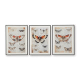  Signature Design by Ashley Jossletts A8000490 Wall Art Set IMAGE 2