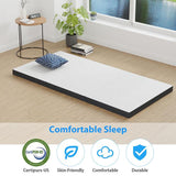  Furniture of America Hollyhock DM1003-T 3" Twin Tri-Fold Memory Foam Topper IMAGE 3