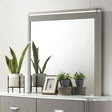  Furniture of America Aldridge FM7243GY-M Mirror IMAGE 1