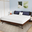  Furniture of America Nasturtium DM810-EK 10" King Bamboo Charcoal Infused Memory Foam IMAGE 1