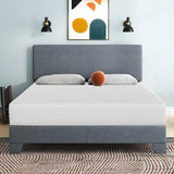  Furniture of America Artemisia DM530-CK 10" California King Memory Foam Mattress IMAGE 5